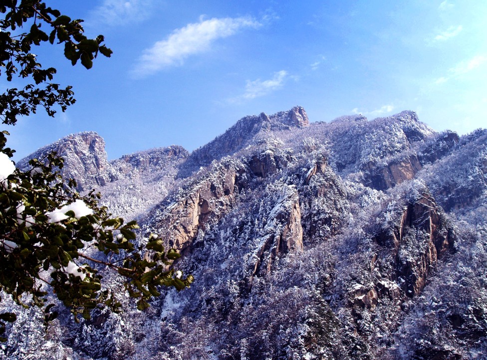 冬日百兽山